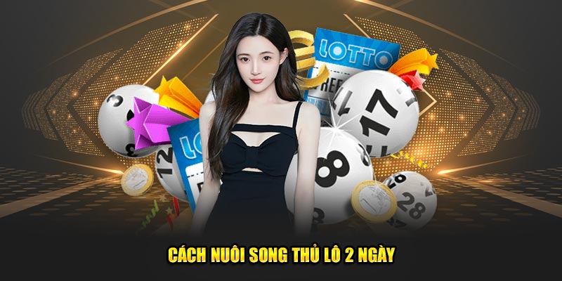 Cách nuôi song thủ lô 2 ngày