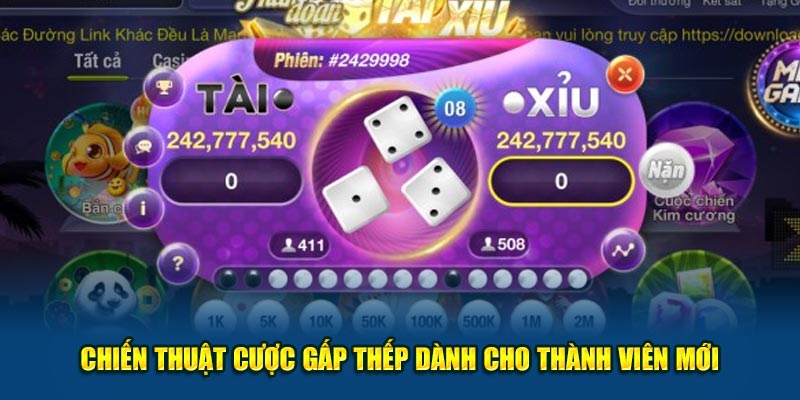 Chiến thuật cược gấp thếp dành cho thành viên mới